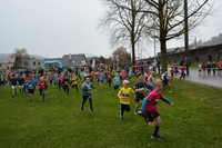 Start_Zwerghasen_2026